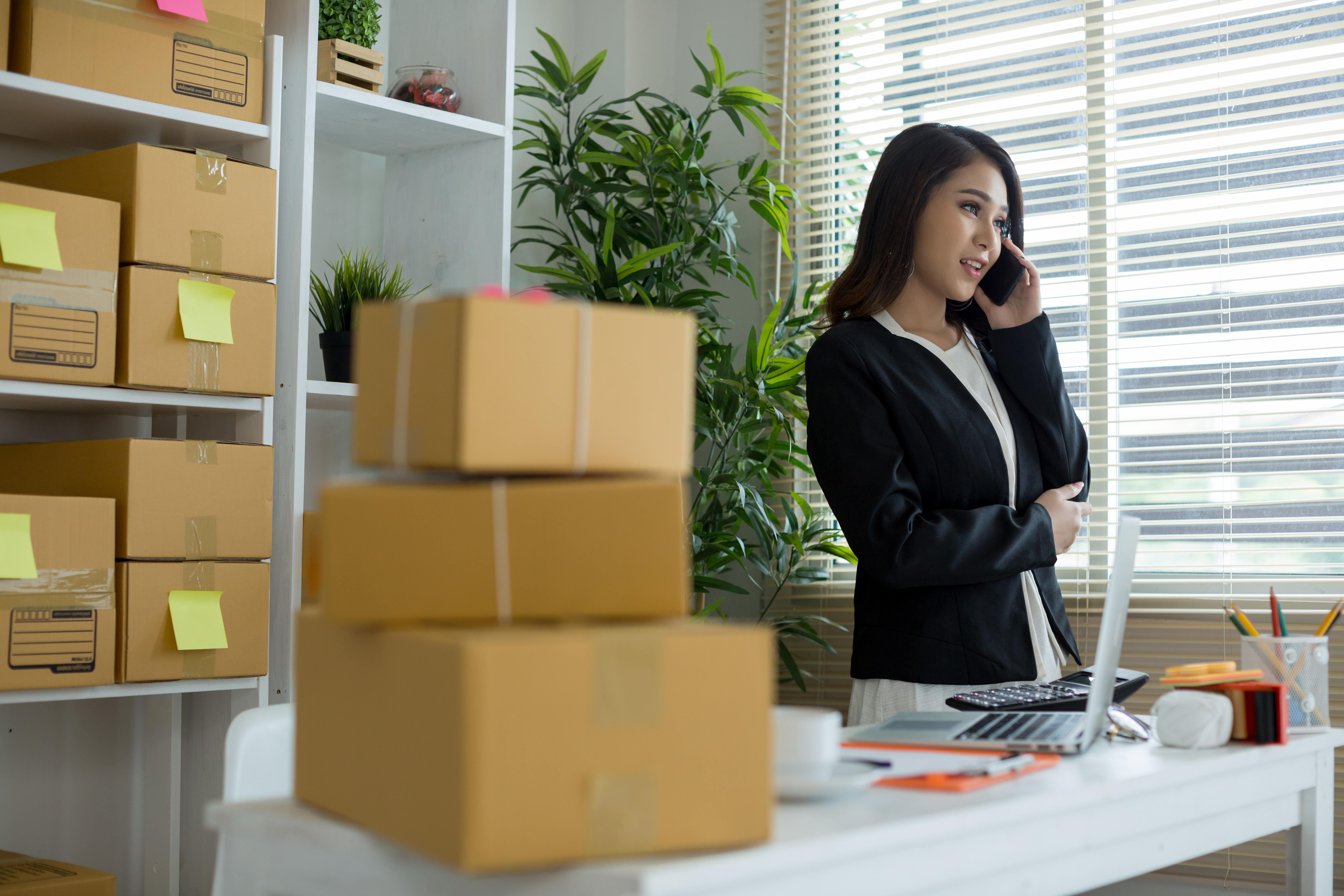 Asesoría Logística